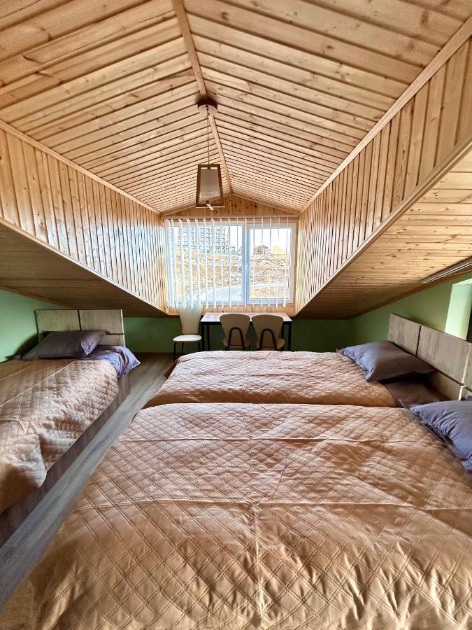 Dandelion Hotel Gudauri Ganisi Luaran gambar